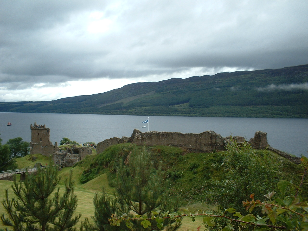DSCF0701.JPG